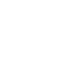 Guiding Principle